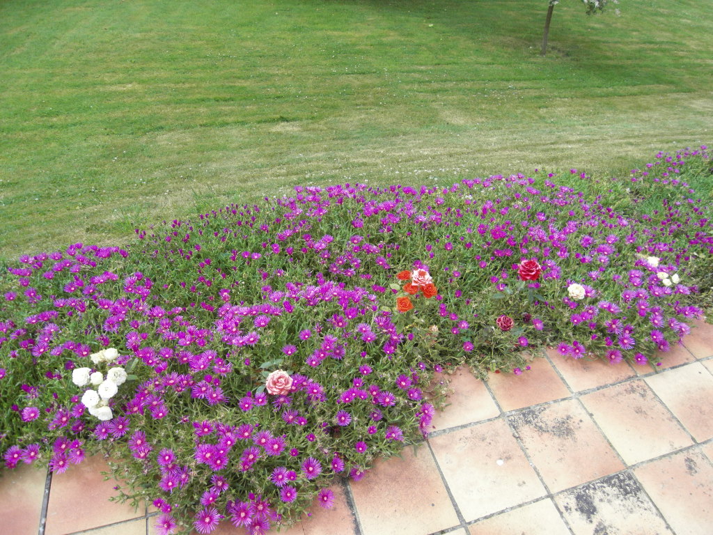 SAMSUNG DIGITAL CAMERA