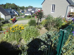 SAMSUNG DIGITAL CAMERA