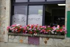 Concours maisons fleuries 2019