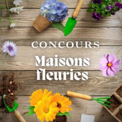 concours maisons fleuries
